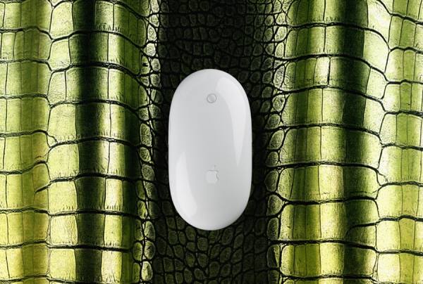 Photograph Steven Moeder Mouse And Snake on One Eyeland
